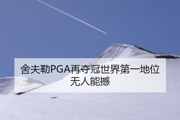 舍夫勒PGA再夺冠世界第一地位无人能撼